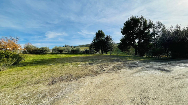 Casale Colonico in vendita a Ancarano