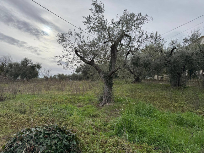 Casa cielo - terra in vendita a Villamagna