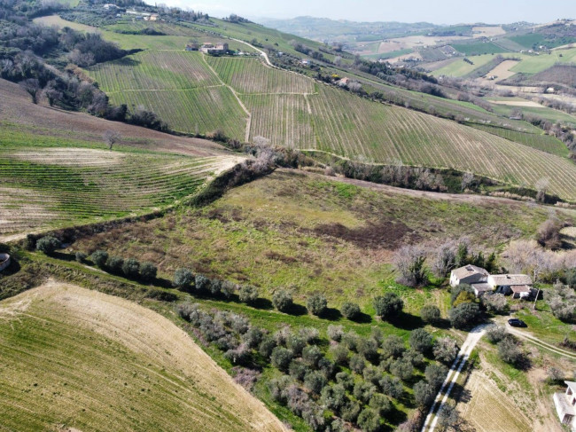 Terreno Agricolo in Vendita a Ripatransone