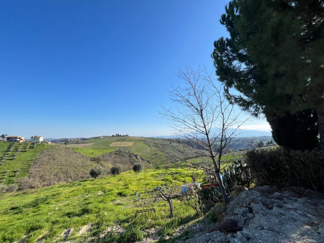 Casa cielo - terra in vendita a Offida