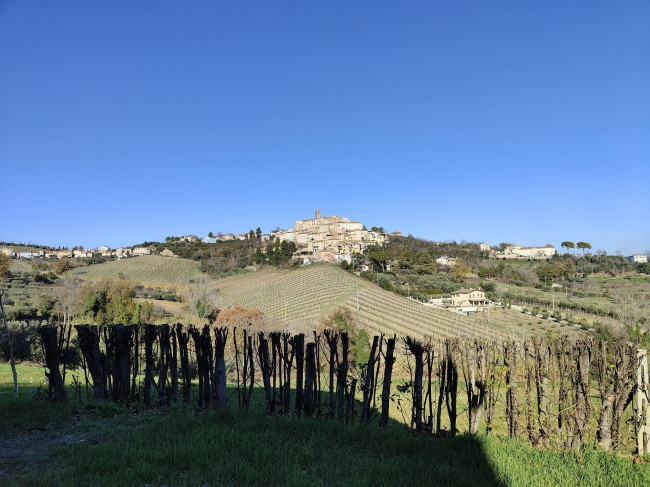 Casale Colonico Rustico in vendita a Spinetoli