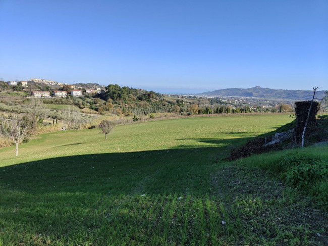 Casale Colonico Rustico in vendita a Spinetoli