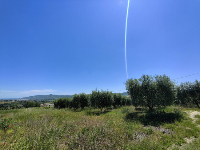 Casale Colonico Rustico in vendita a Spinetoli