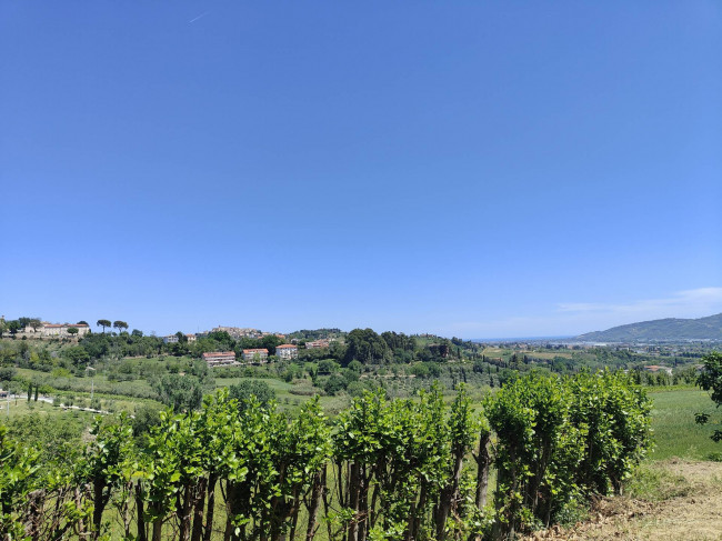 Casale Colonico Rustico in vendita a Spinetoli