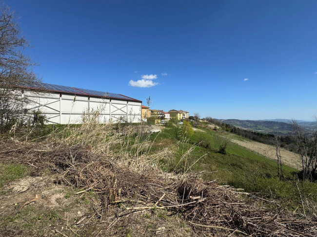 Casale Colonico Rustico in vendita a Force