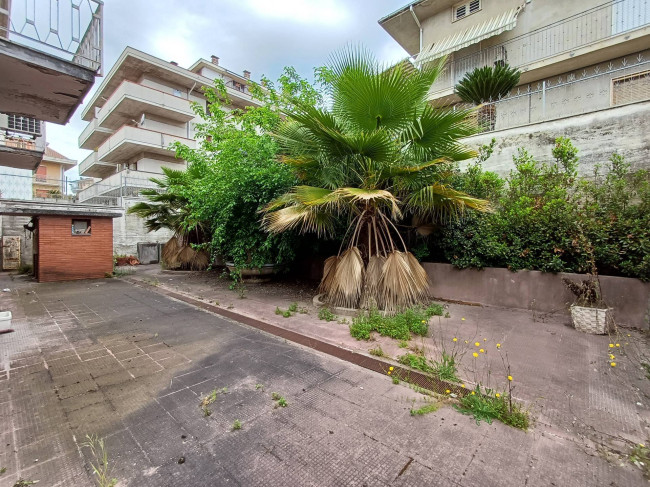Casa cielo - terra in vendita a Monteprandone