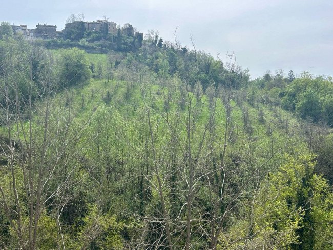 Casale Colonico Rustico in vendita a Palmiano