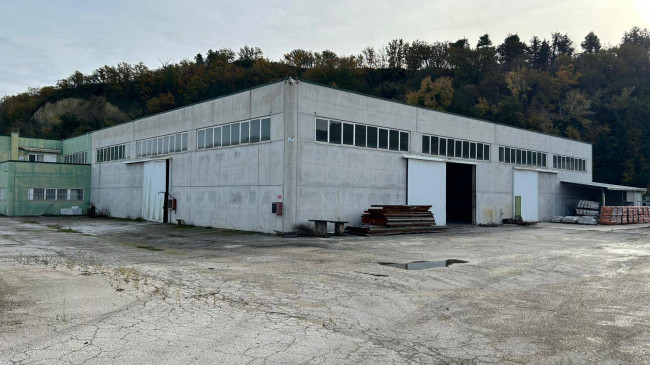 Capannone in Affitto a Ripatransone