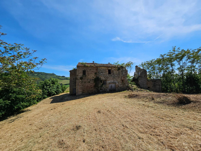 Casale Colonico Rustico in vendita a Ripatransone