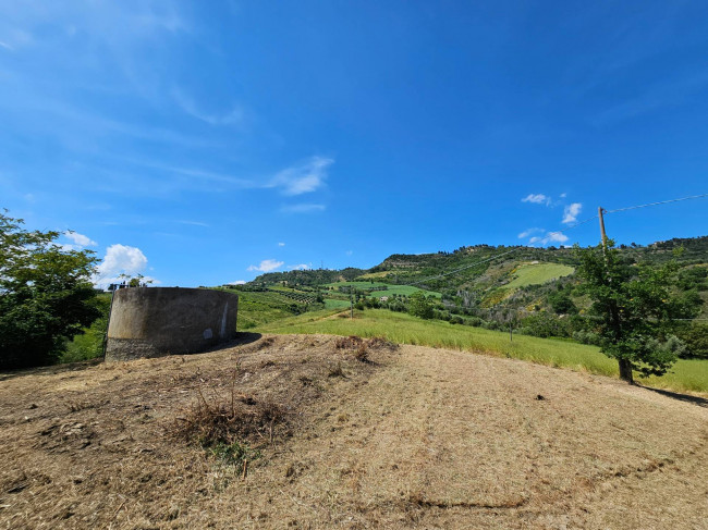 Casale Colonico Rustico in vendita a Ripatransone