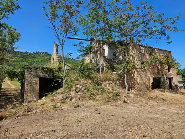 Casale Colonico Rustico in vendita a Ripatransone