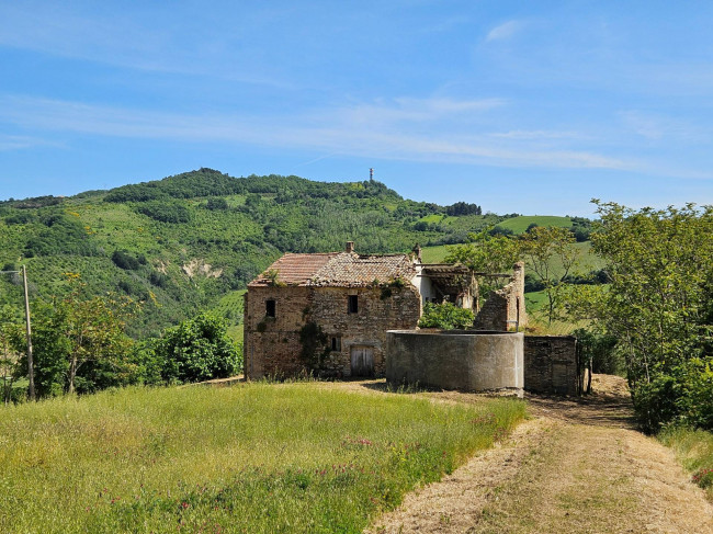 Casale Colonico Rustico in vendita a Ripatransone