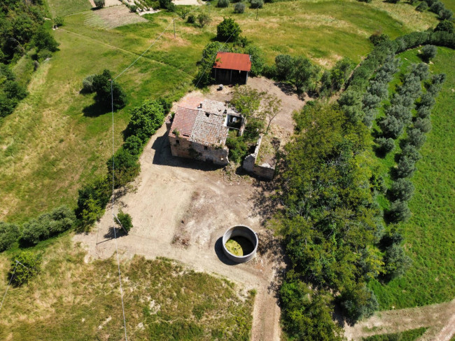Casale Colonico Rustico in vendita a Ripatransone