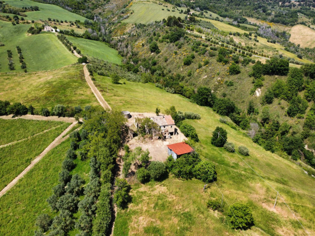 Casale Colonico Rustico in vendita a Ripatransone