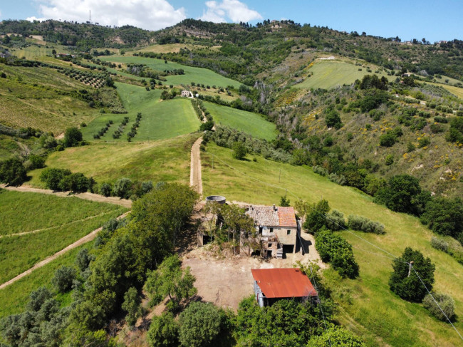 Casale Colonico Rustico in vendita a Ripatransone
