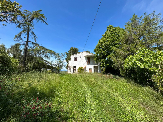 Casale Colonico Rustico in Vendita a Ripatransone