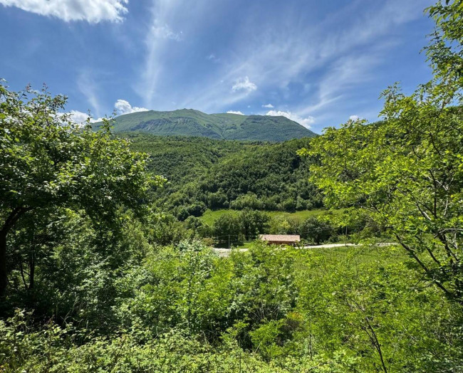 Terreno Agricolo (con / Senza Piccolo Prefabbricato) in vendita a Amandola