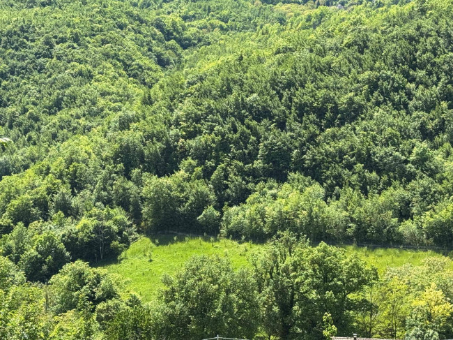 Terreno Agricolo (con / Senza Piccolo Prefabbricato) in vendita a Amandola