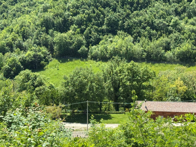 Terreno Agricolo (con / Senza Piccolo Prefabbricato) in vendita a Amandola
