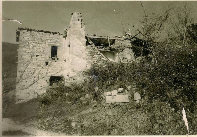 Terreno Agricolo (con / Senza Piccolo Prefabbricato) in vendita a Amandola