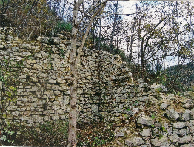 Terreno Agricolo (con / Senza Piccolo Prefabbricato) in vendita a Amandola