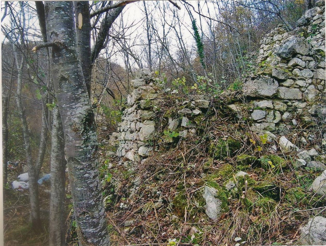 Terreno Agricolo (con / Senza Piccolo Prefabbricato) in vendita a Amandola