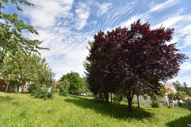 Appartamento in vendita a Monsampolo del Tronto