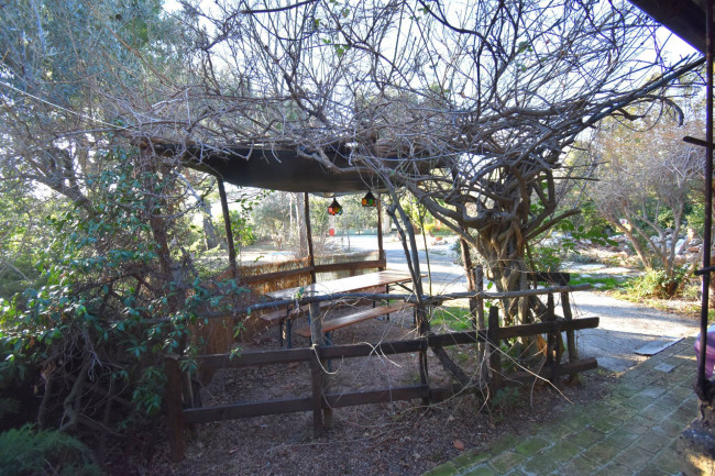 Casale Colonico Rustico in vendita a Ripatransone