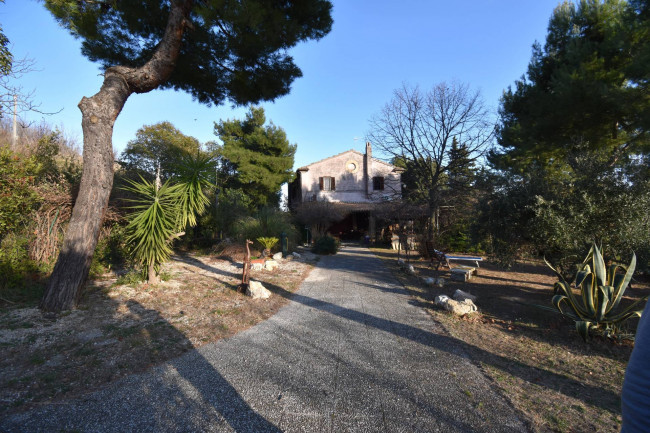Casale Colonico Rustico in vendita a Ripatransone