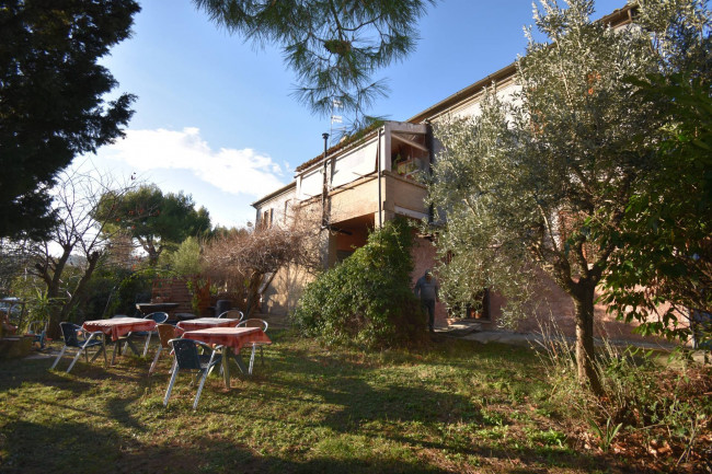 Casale Colonico Rustico in vendita a Ripatransone