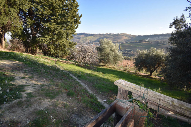 Casale Colonico Rustico in vendita a Ripatransone