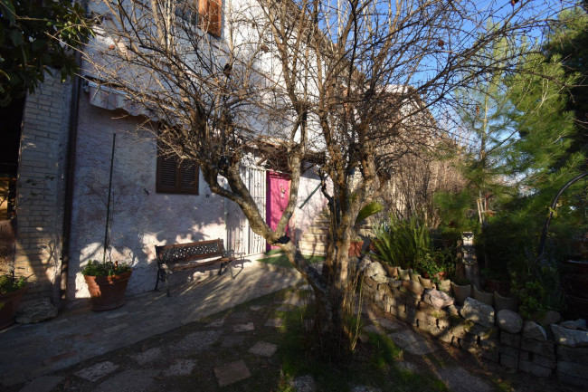 Casale Colonico Rustico in vendita a Ripatransone