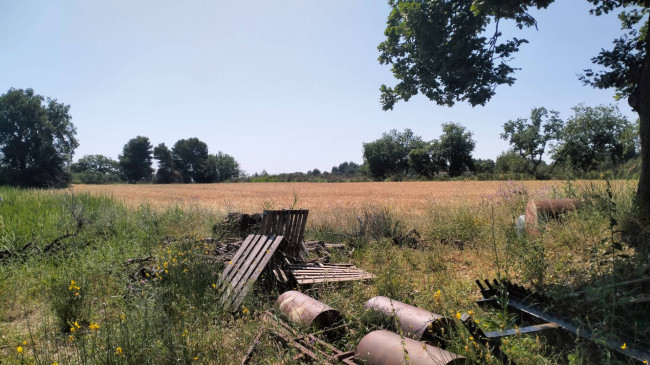 Terreno Agricolo in vendita a Grottammare