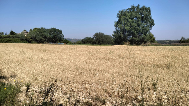 Terreno Agricolo in vendita a Grottammare