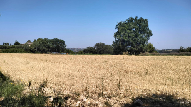 Terreno Agricolo in vendita a Grottammare