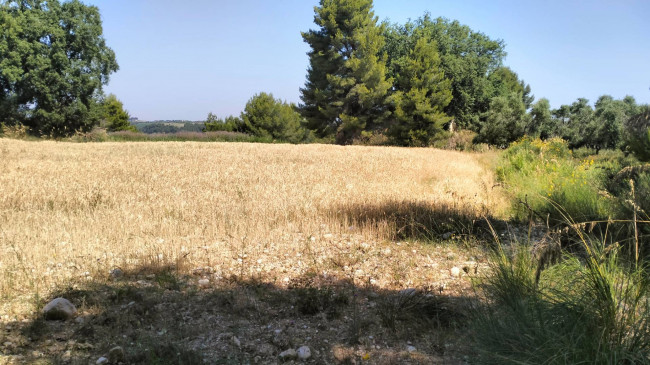 Terreno Agricolo in vendita a Grottammare