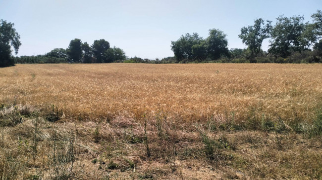 Terreno Agricolo in vendita a Grottammare