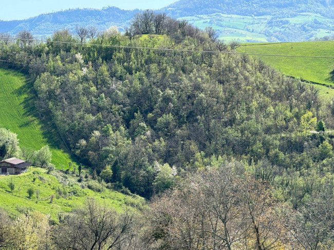 Terreno Agricolo in Vendita a Amandola