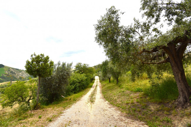 Casale Colonico Rustico in vendita a San Benedetto del Tronto
