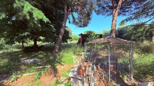 Villino a  schiera / bifamiliare in vendita a Ascoli Piceno