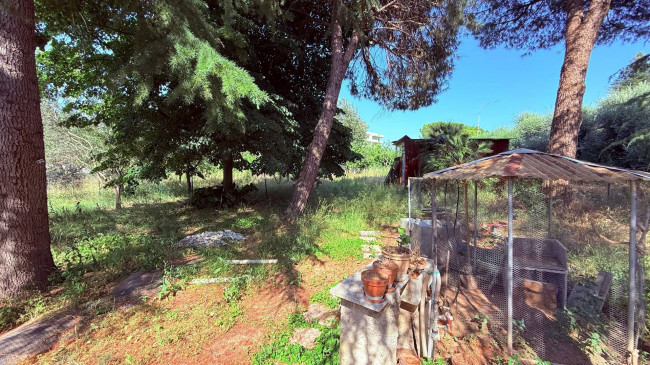 Villino a  schiera / bifamiliare in vendita a Ascoli Piceno