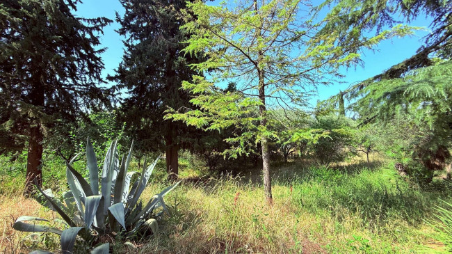 Villino a  schiera / bifamiliare in vendita a Ascoli Piceno