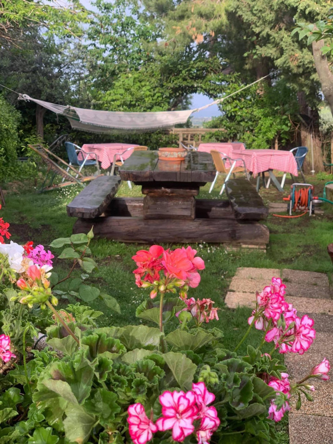 Casale Colonico Rustico in vendita a Ripatransone
