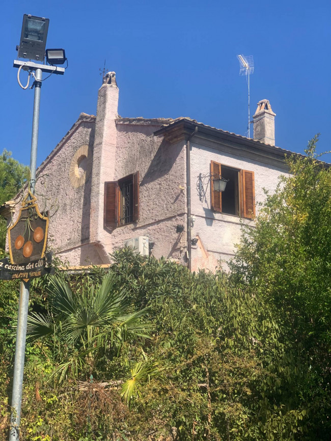 Casale Colonico Rustico in Vendita a Ripatransone