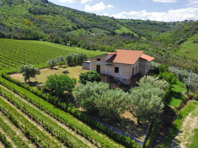Casale Colonico Rustico in Vendita a Controguerra