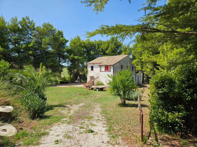 Casale Colonico Rustico in Vendita a Ripatransone