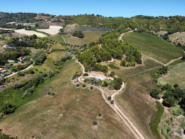 Terreno Agricolo in Vendita a Ripatransone