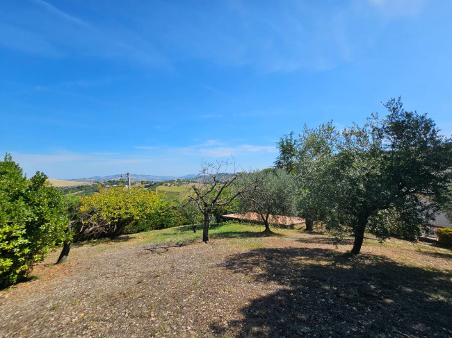 Casale Colonico Rustico in vendita a Castignano