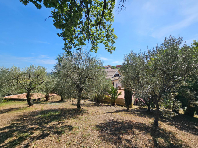 Casale Colonico Rustico in vendita a Castignano