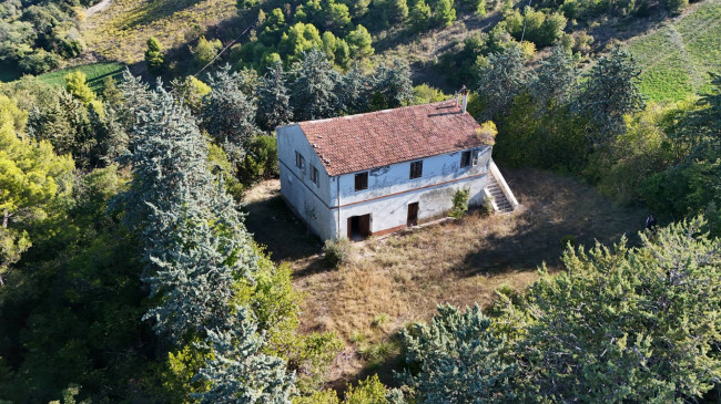 Casale Colonico Rustico in Vendita a Ripatransone